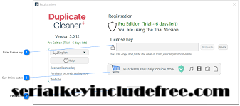 Duplicate Cleaner Pro Crack + License Key [100% Working]