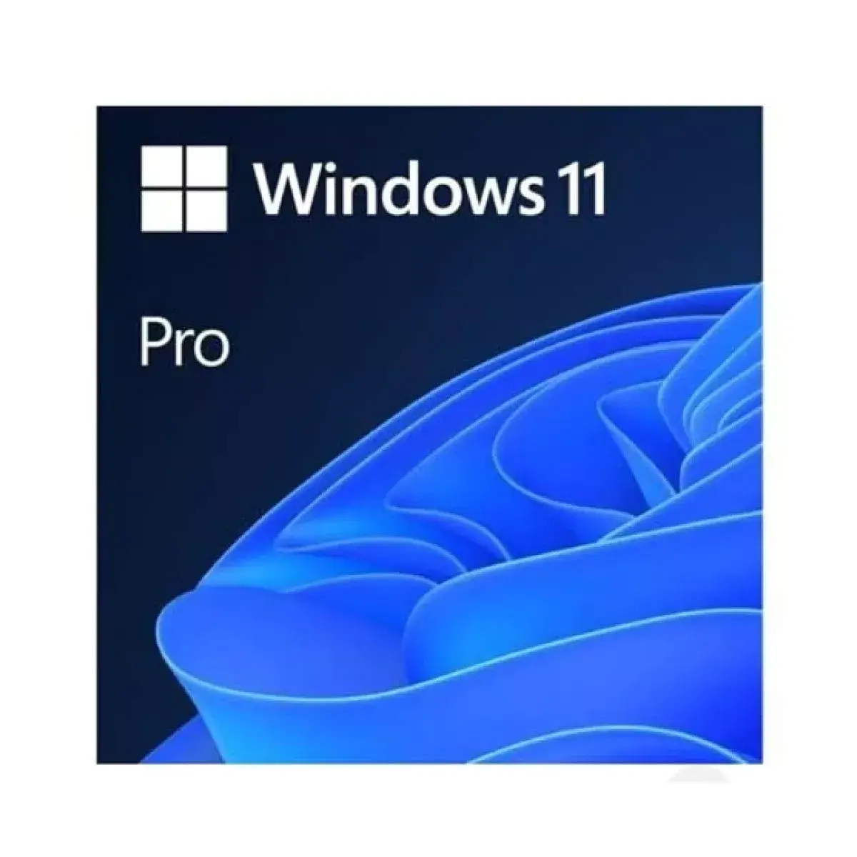 Windows 11 Pro Download