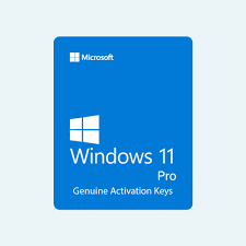 Windows 11 Pro Product Key All Edition [Updated]
